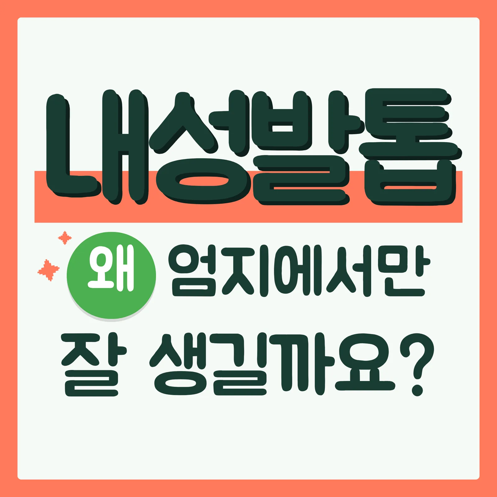 표지 궁금증유발형 코랄
