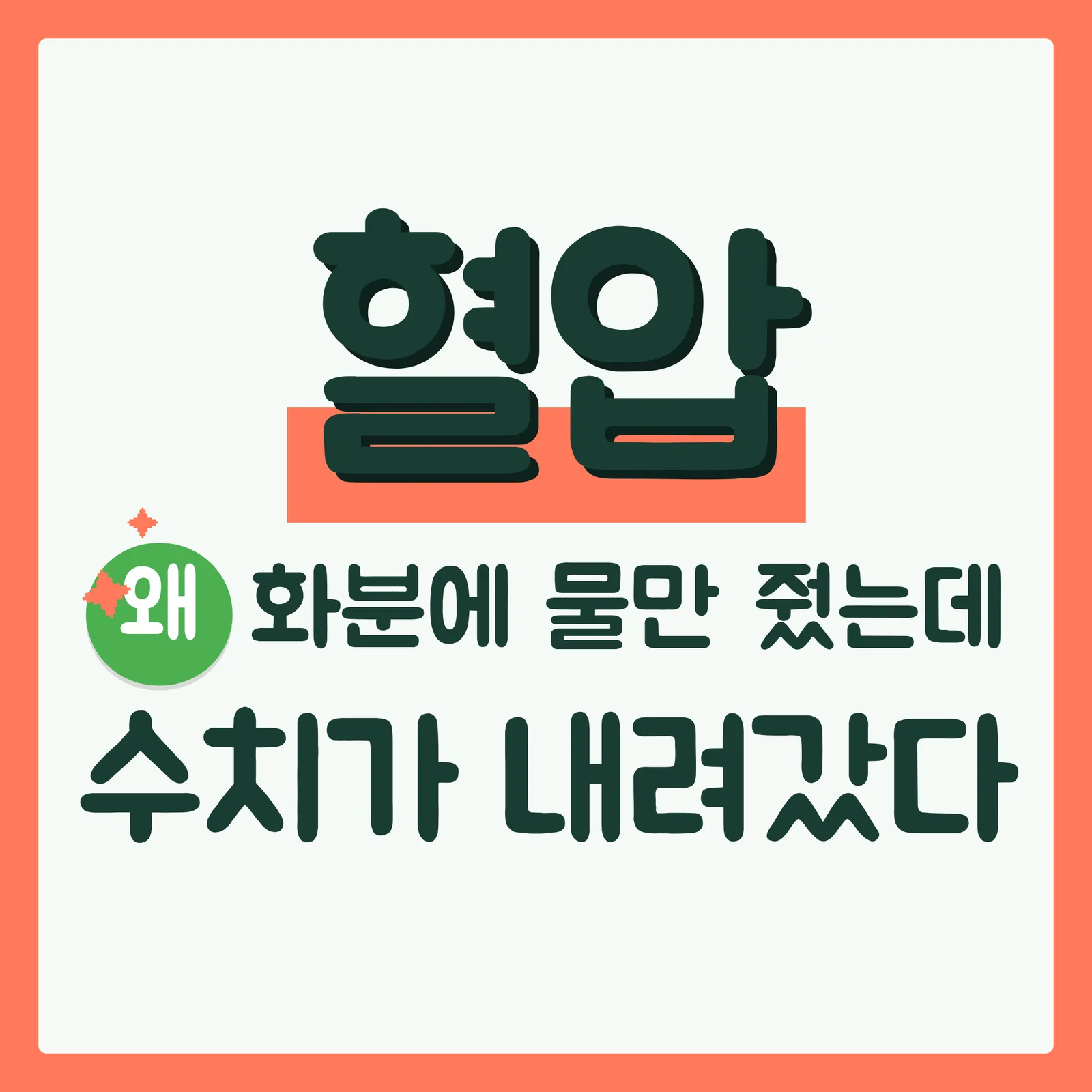 표지 궁금증유발형 구글