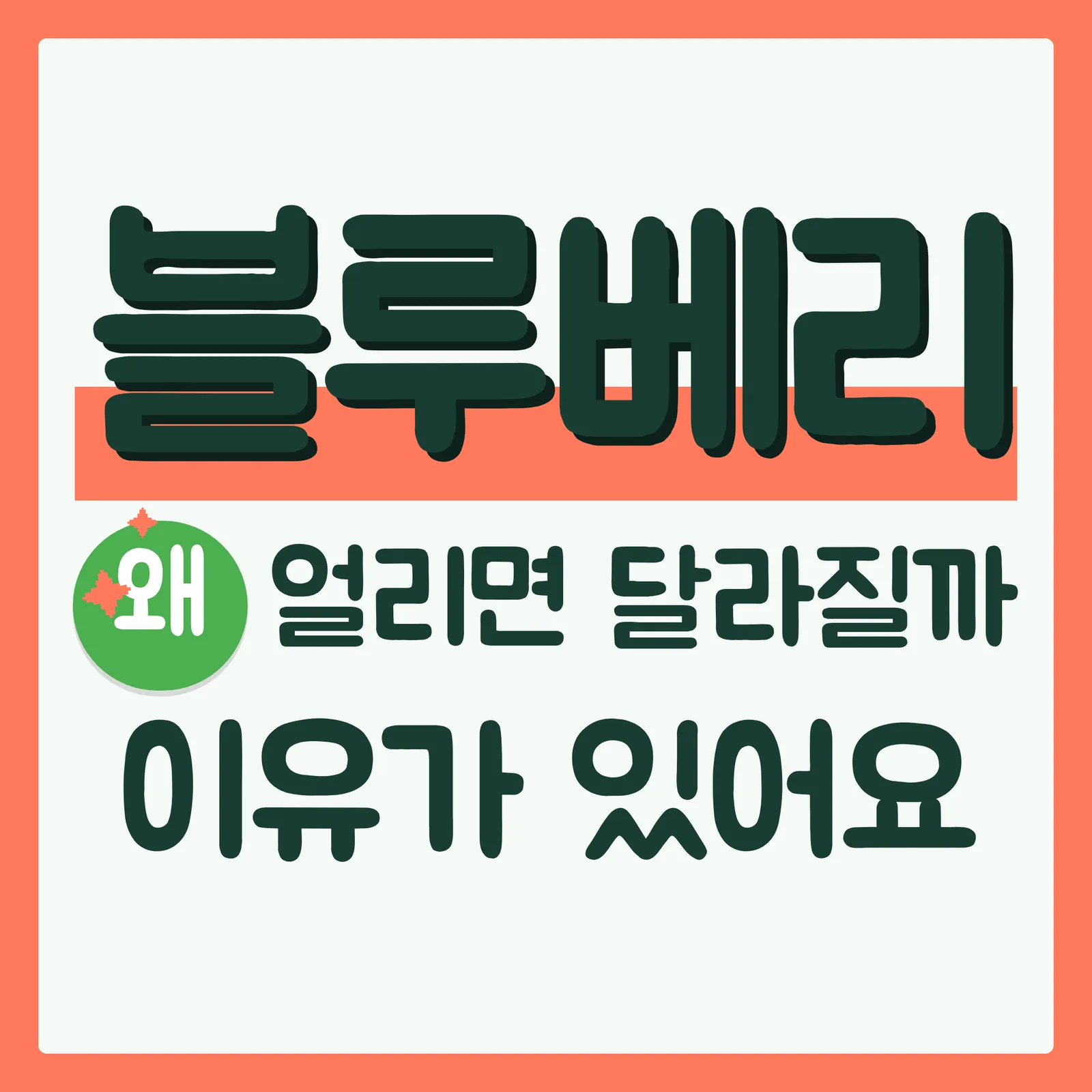 표지 궁금증유발형 구글
